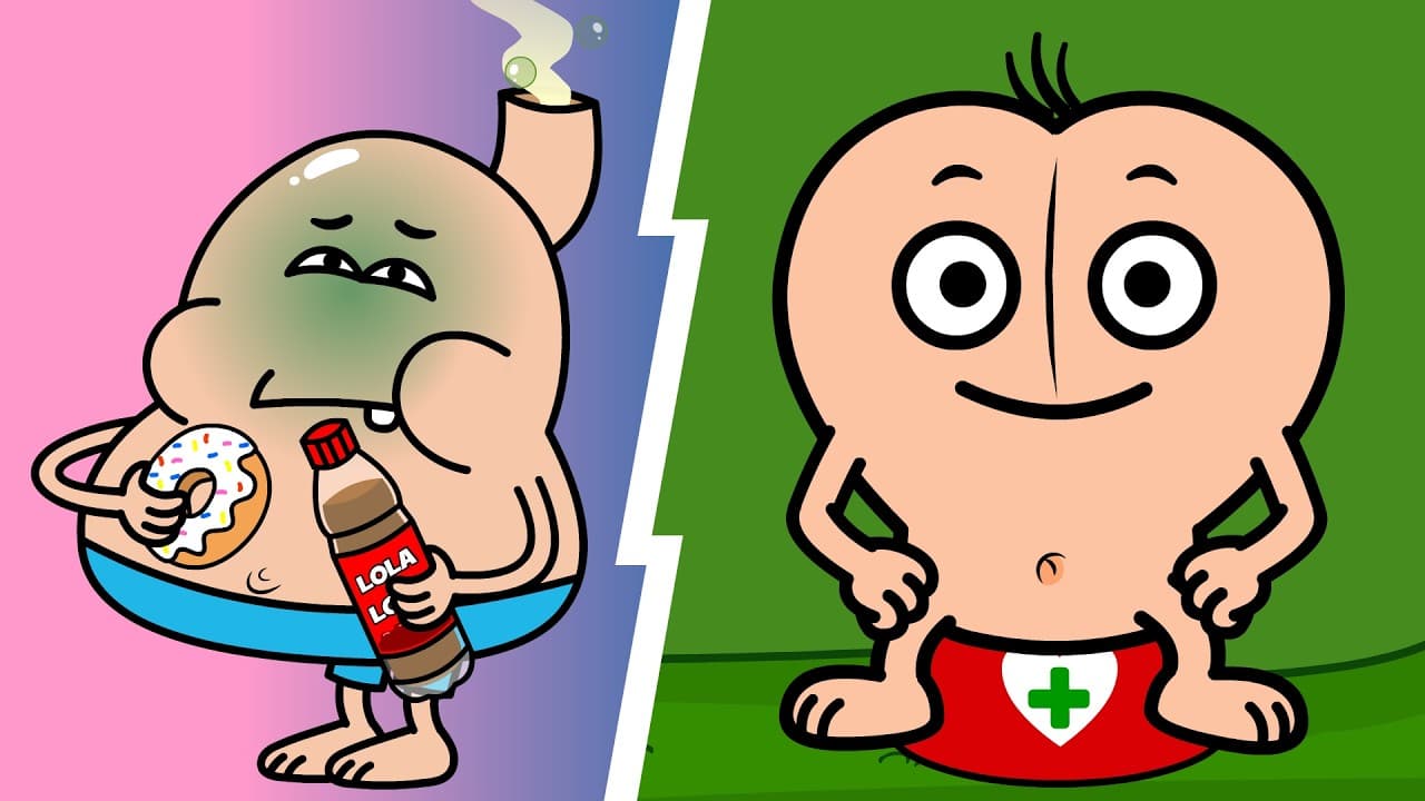 Eat a healthy meal -  Potty Training - Kids Cartoon - Nursery Rhymes - Toddlers - Healthy Habits - Eat a healthy meal - Potty Training - Kids Cartoon - Nursery Rhymes - Toddlers - Healthy Habits - Summary, Key Takeaways & FAQ