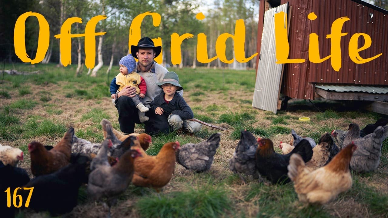 Spring Is Taking Over | Life Returning to Our Off-Grid Homestead - Homesteading Adventures