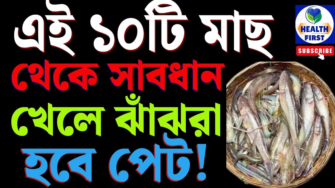 Health : এই দশটি মাছ বেশি খেলে ঝাঁঝরা হবে পেট ! | Top 10 Dangerous Bad Fish | Cancer Causes Food - Summary, Key Takeaways & FAQ