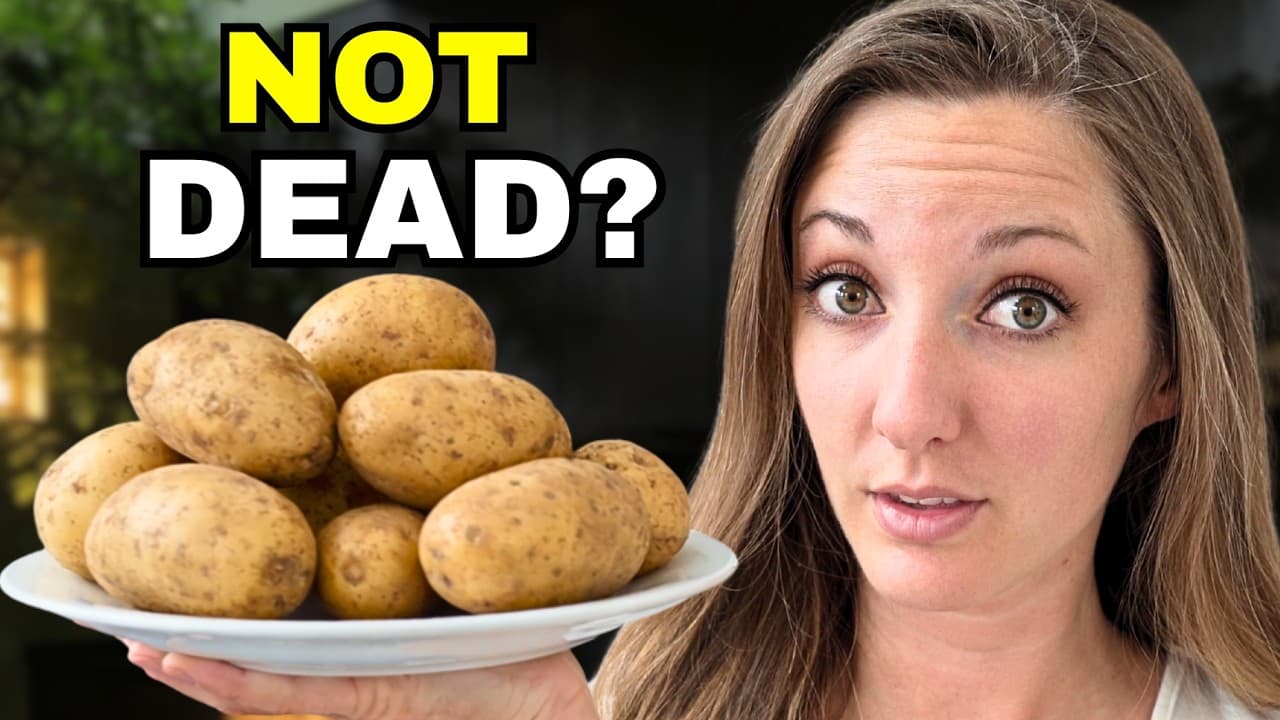 Once I Learned About 'Dead Carbs' … I Lost 18lbs - Summary, Key Takeaways & FAQ