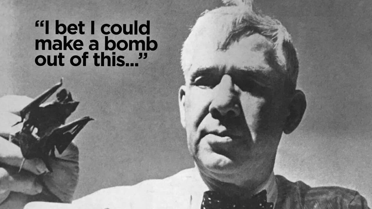 Perhaps The Craziest Thought Any Human Has Ever Had - Bat Bombs Explored